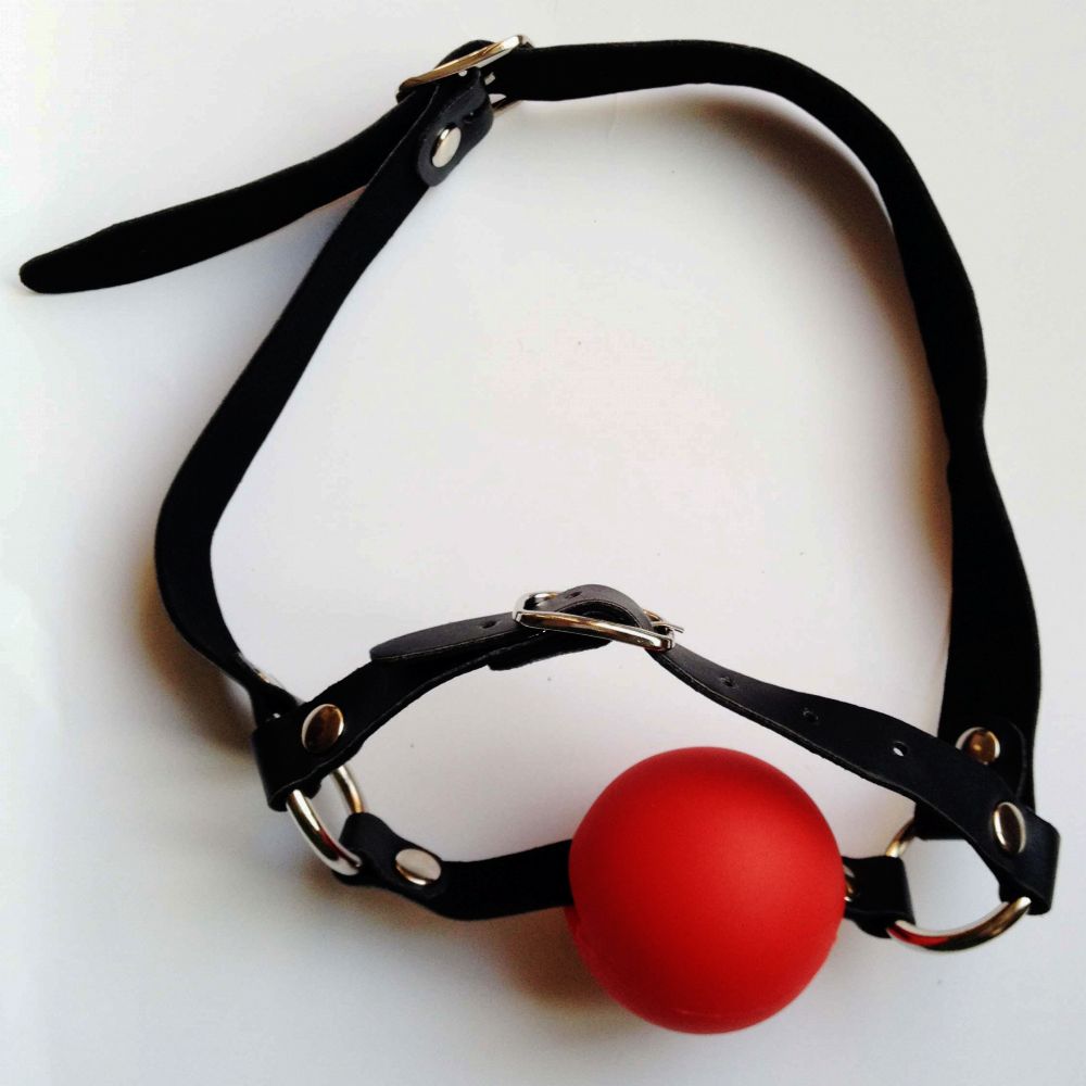 Ball and Ring Gags Image